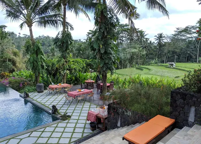 Kokokan Sebali *