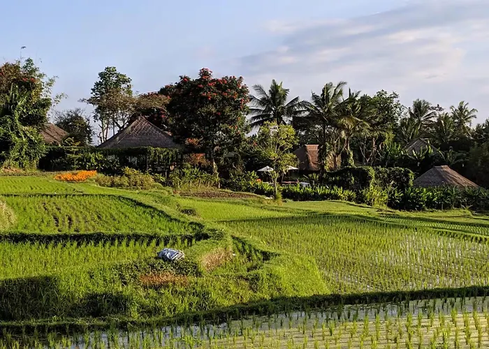 Kokokan Sebali